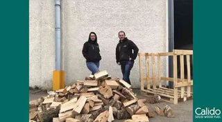 Logs in a crate tipped onto the ground