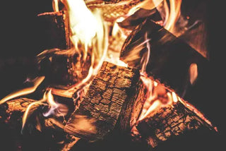 Kiln dried logs burn better