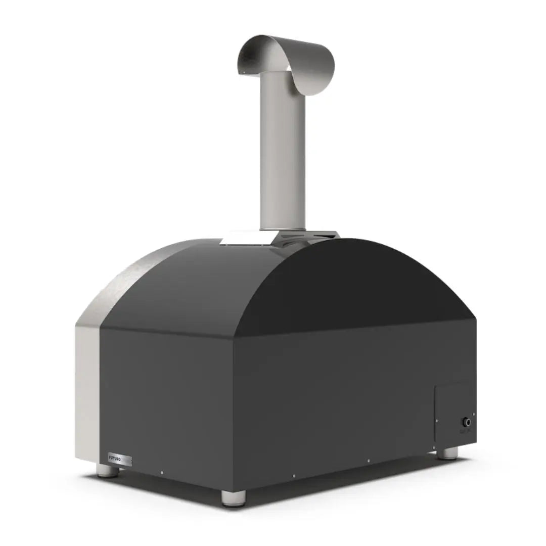 Alfa Futuro 2 Pizze Hybrid Gas Pizza Oven on a white background back side view