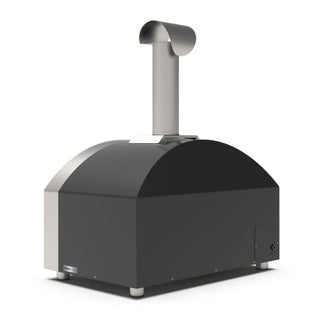 Alfa Futuro 2 Pizze Hybrid Gas Pizza Oven on a white background back side view