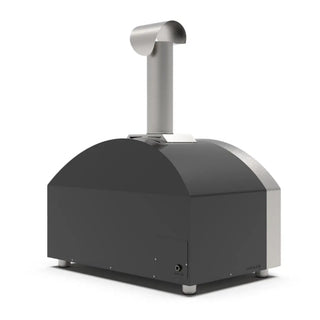 Alfa Futuro 2 Pizze Hybrid Gas Pizza Oven on a white background back side view