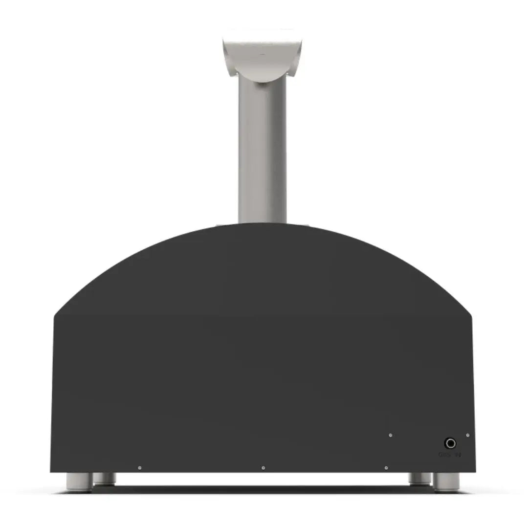 Alfa Futuro 2 Pizze Hybrid Gas Pizza Oven on a white background back view