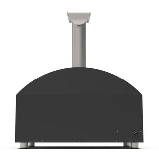 Alfa Futuro 2 Pizze Hybrid Gas Pizza Oven on a white background back view
