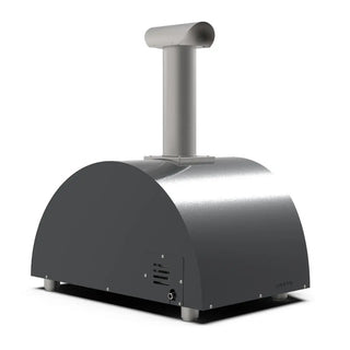 Alfa Moderno 2 Pizze Hybrid Pizza Oven in Ardesia Grey on a white background side back view