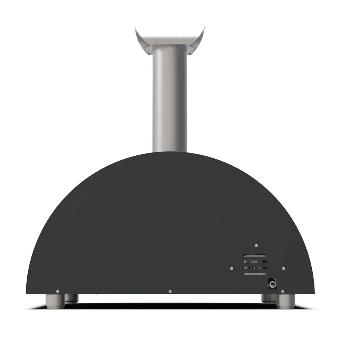 Alfa Moderno 2 Pizze Hybrid Pizza Oven in Ardesia Grey on a white background back view