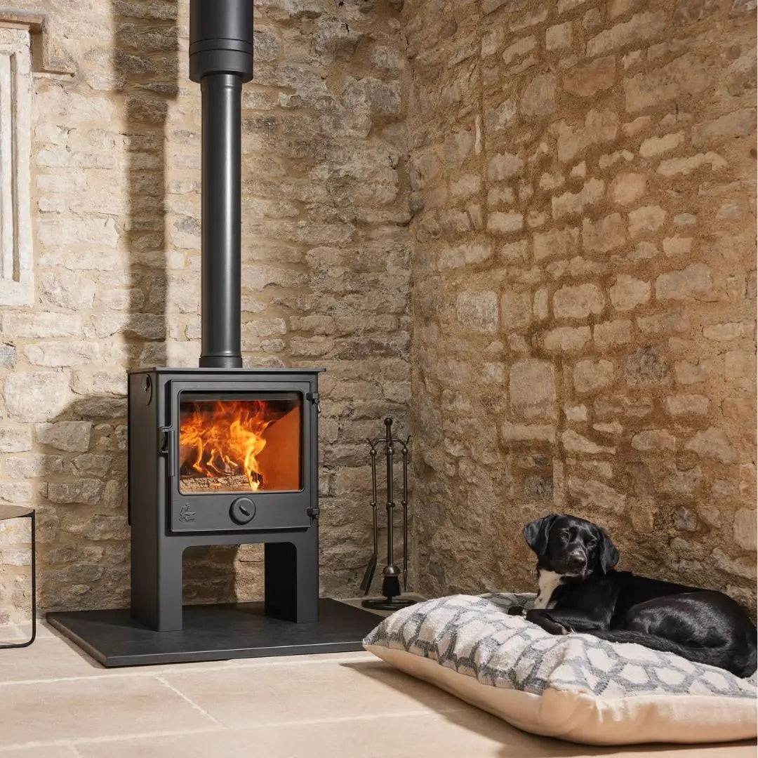 Dean Forge Dartmoor W5 Eco High Stove - 5kW on black hearth with stone wall and dog on dog bed