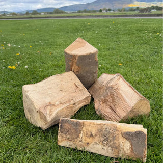 Kiln dried ash firewood bulk bag on grass