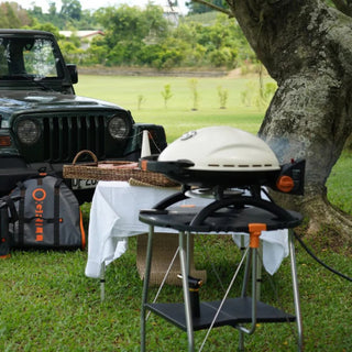 O-Grill 600 Portable Gas Grill